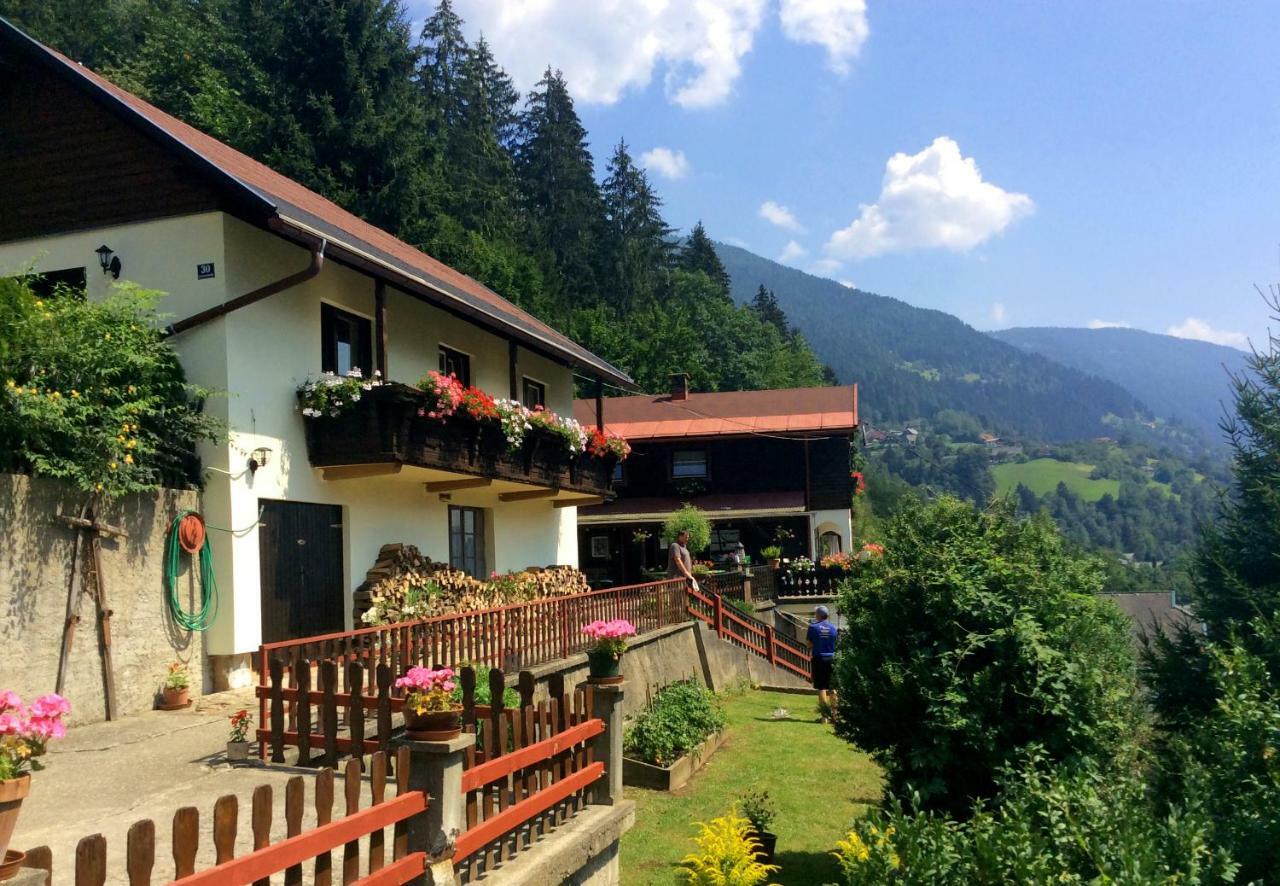 Apartmán Panoramahaus Radenthein Exteriér fotografie